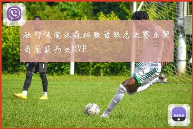 独行侠淘汰森林狼晋级总决赛东契奇荣获西决MVP