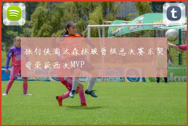 独行侠淘汰森林狼晋级总决赛东契奇荣获西决MVP