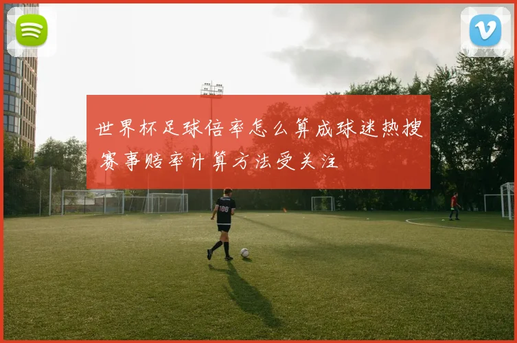 世界杯足球倍率怎么算成球迷热搜 赛事赔率计算方法受关注