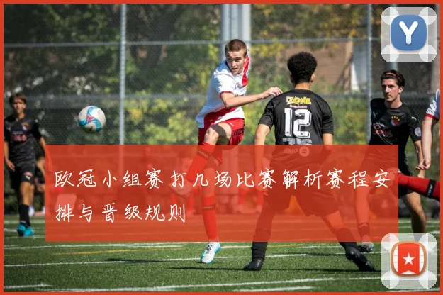 欧冠小组赛打几场比赛解析赛程安排与晋级规则