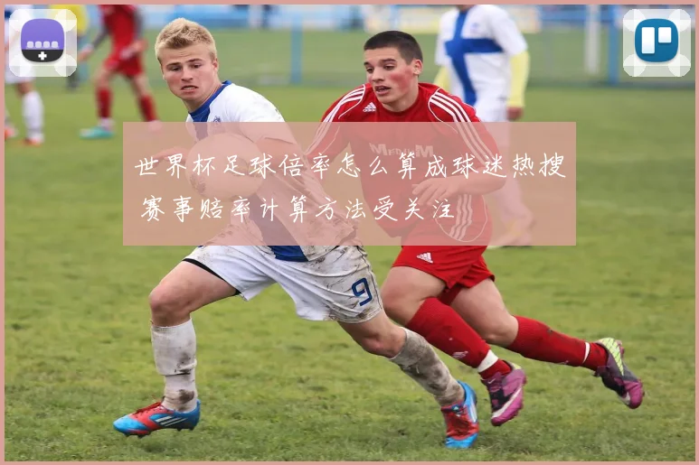 世界杯足球倍率怎么算成球迷热搜 赛事赔率计算方法受关注